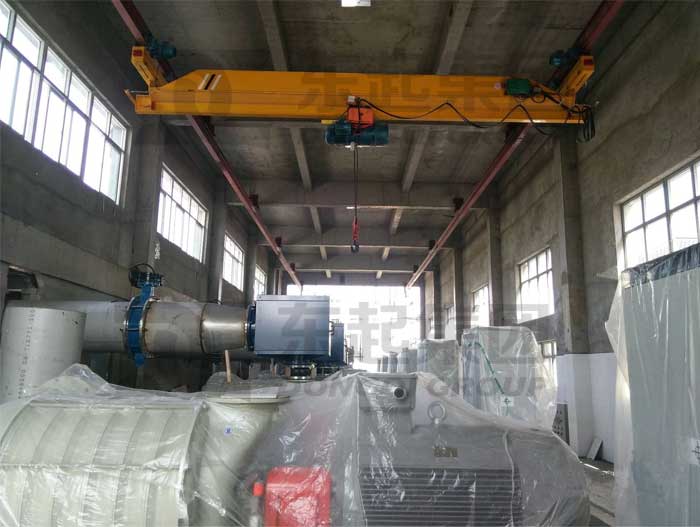 Suspension Crane Used in Sewage Treatment Plant