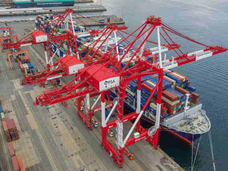 PSA-Halifax-Orders-2-Super-Post-panamax-Sts-Gantry-Cranes