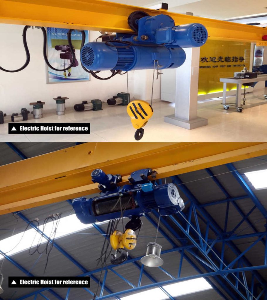 Electric Wire Rope Hoist for reference