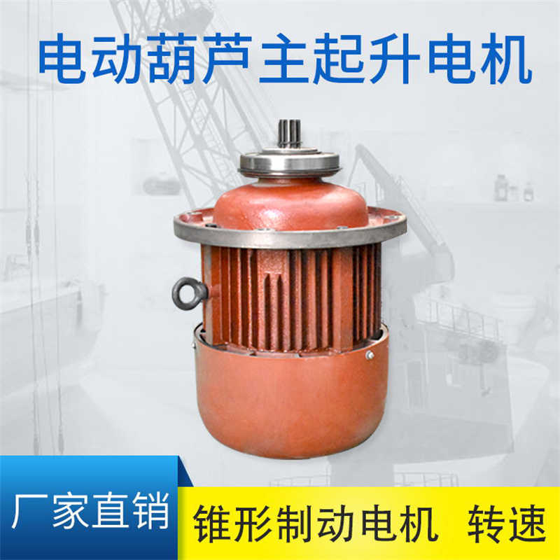 Electric hoist main lifting motor