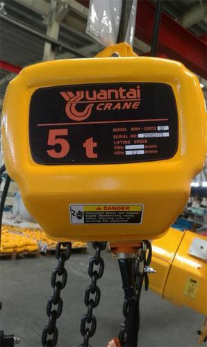 kerekan rantai listrik 5 ton-2